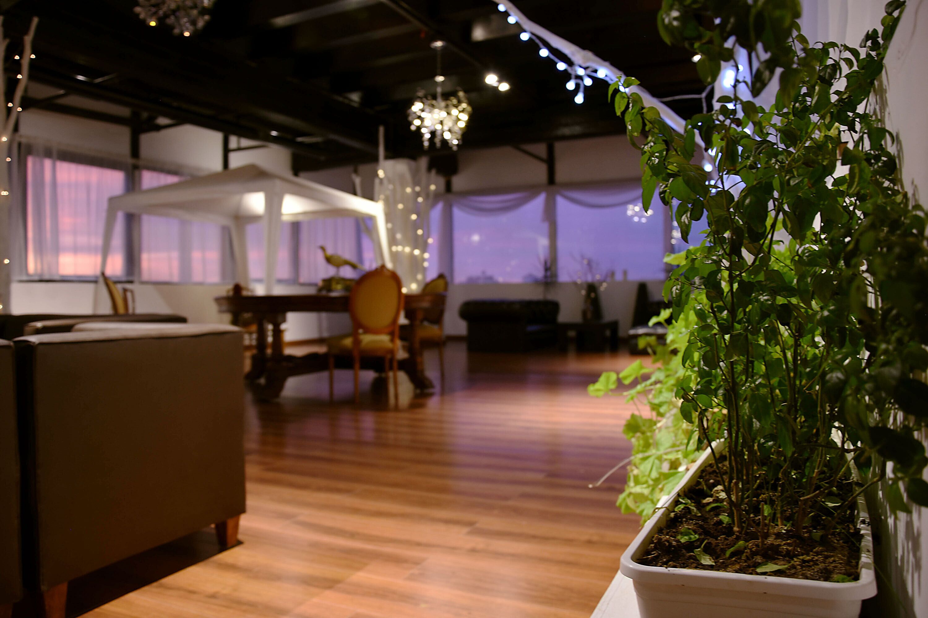 Servicios del alojamiento