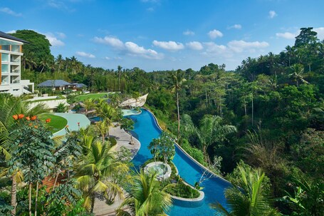 The Westin Resort & Spa Ubud, Bali - view 2