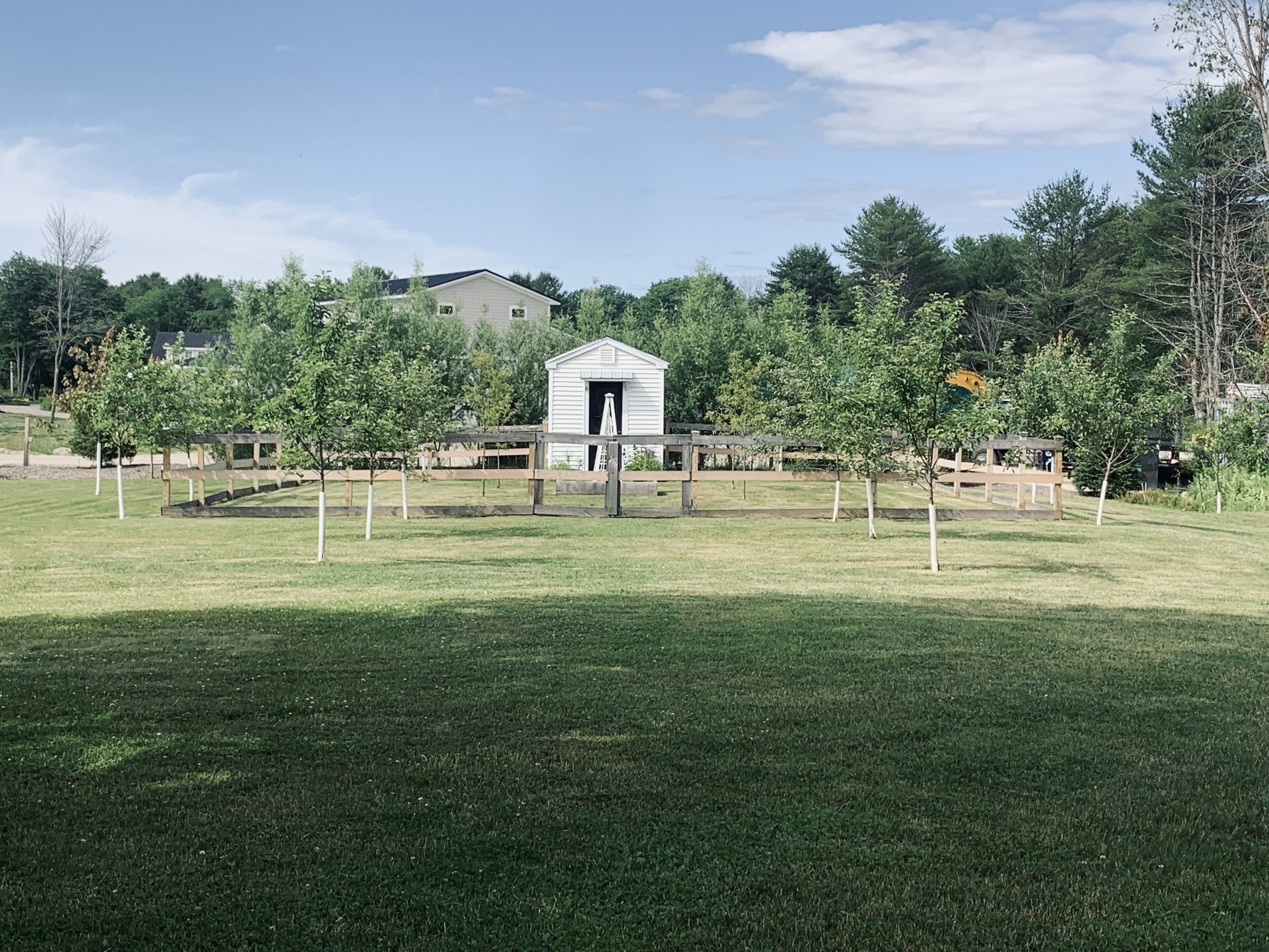 A fenced outdoor area with a small white building, likely a barn or shed, surrounded by trees and a grassy field.