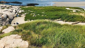 A coastal landscape with a sandy beach, rocky outcrops, and grassy dunes. - The Orchard House: Inn & Cafe (Freeport)