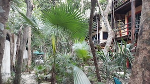 A tropical garden with various plants and trees, a thatched-roof structure, and a blue chair. - Dolce Caribe B&B (Playa del Carmen)