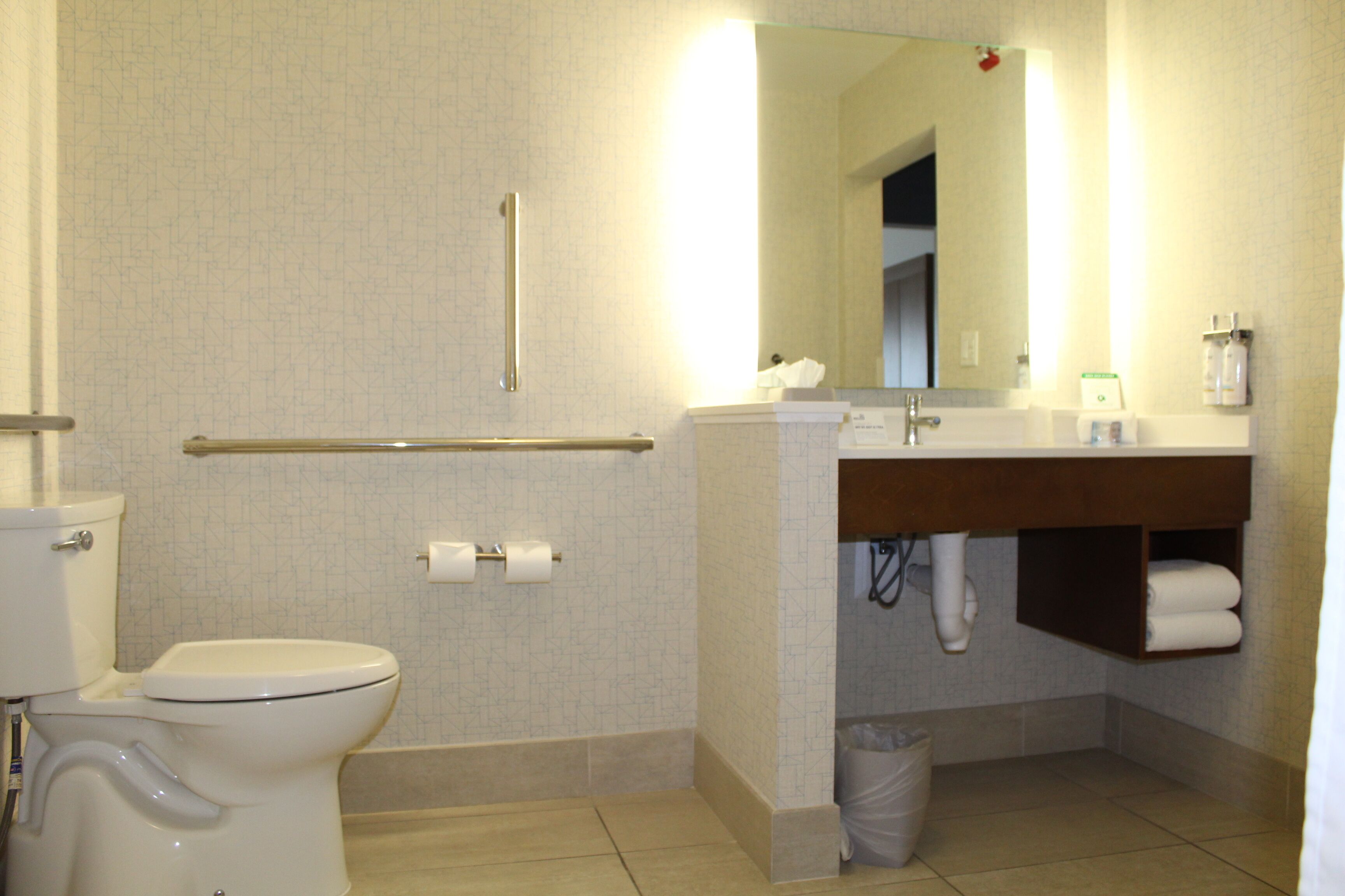 A bathroom with a toilet, a handrail, a sink, a mirror, and a trash bin.