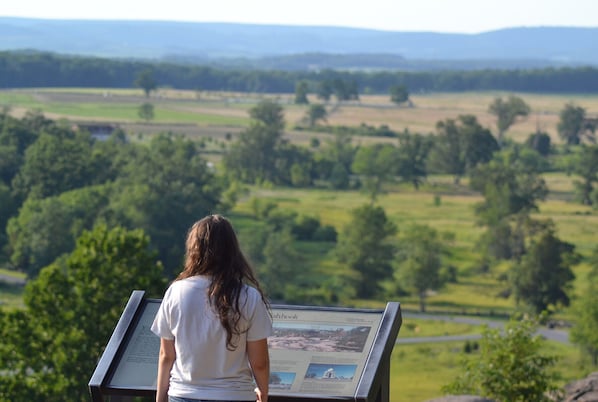 Una persona frente a un panel informativo, con un paisaje verde al fondo.