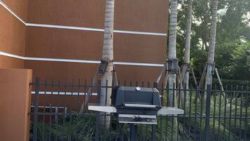 An outdoor grill area with a metal fence and palm trees in the background.