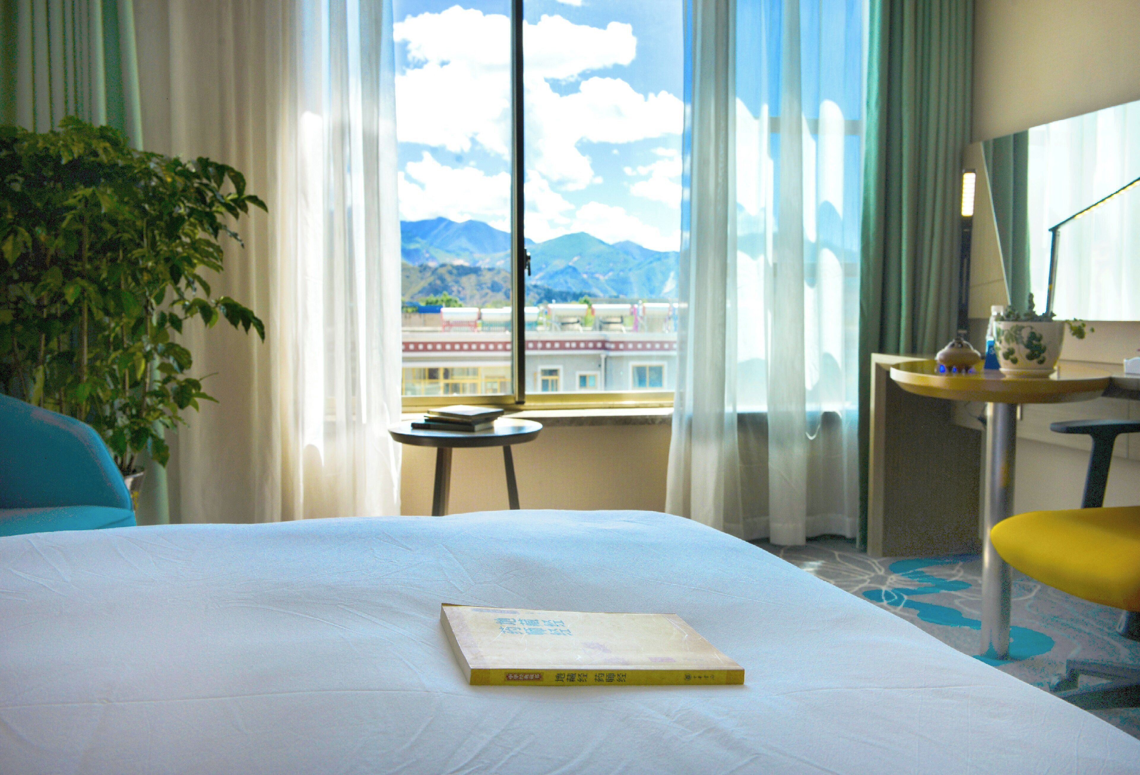 A hotel room with a bed, a small table, a chair, a potted plant, and a view of buildings and mountains through the window.