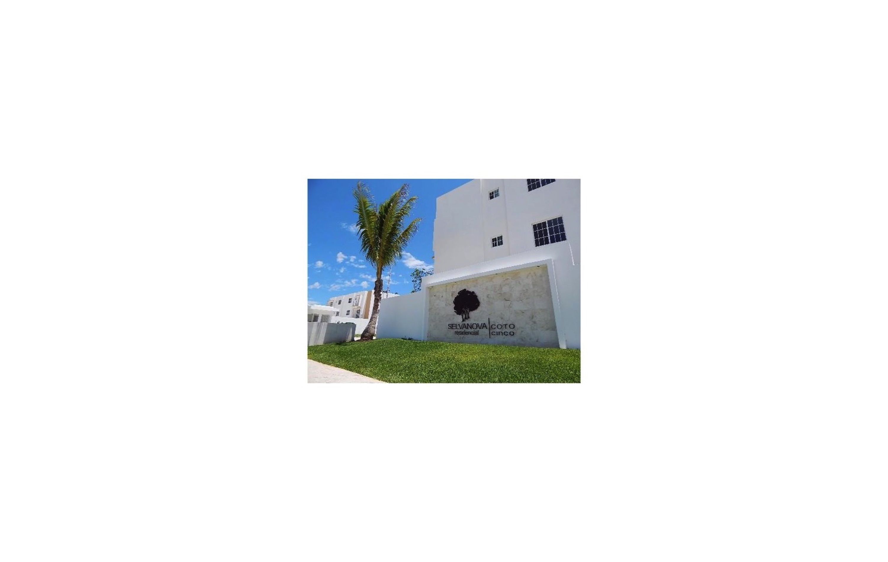 Un edificio blanco con una palmera en primer plano.