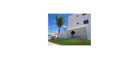 A white building with a palm tree in front.