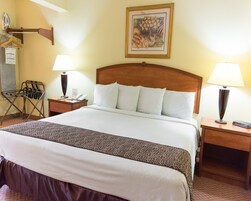 A hotel room with a large bed, two bedside tables, a wooden headboard, a wall-mounted painting, and a desk with a lamp.
