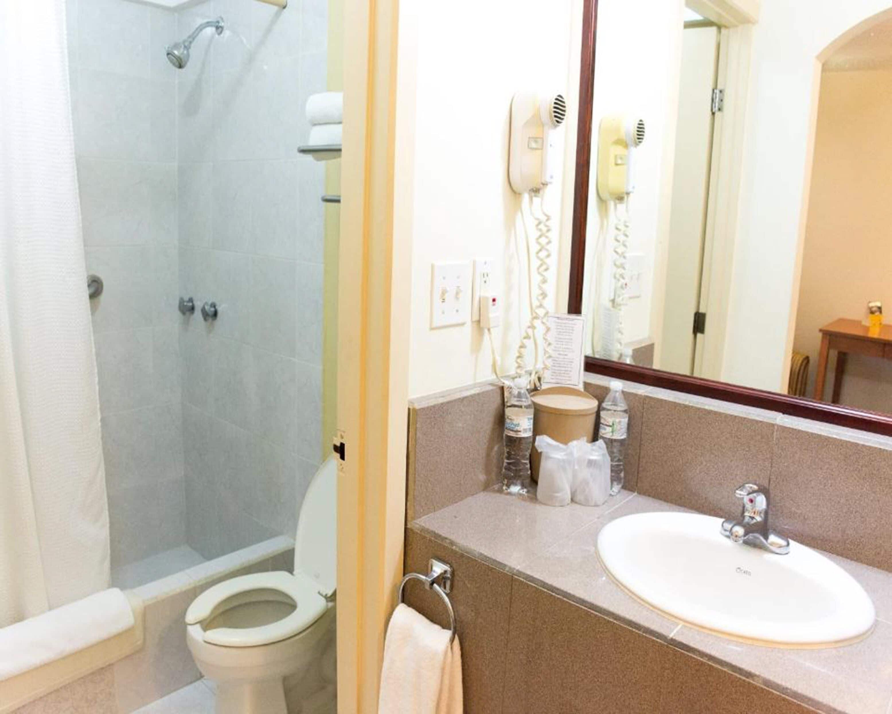 Une salle de bain avec douche, toilettes et lavabo.
