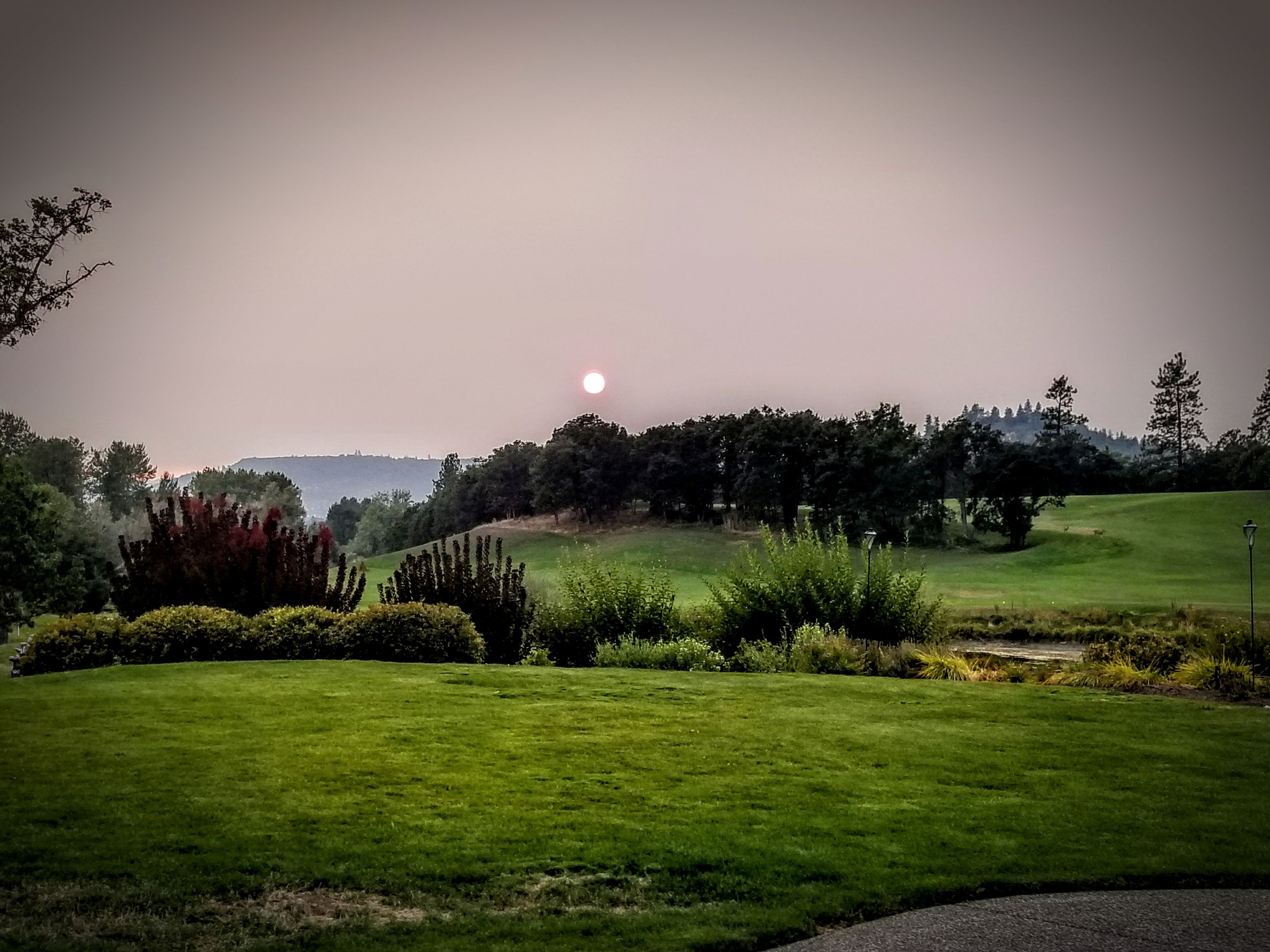 Un campo de golf con césped cuidado, un estanque y una variedad de árboles y arbustos.