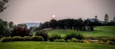 Un campo de golf con césped cuidado, un estanque y una variedad de árboles y arbustos.