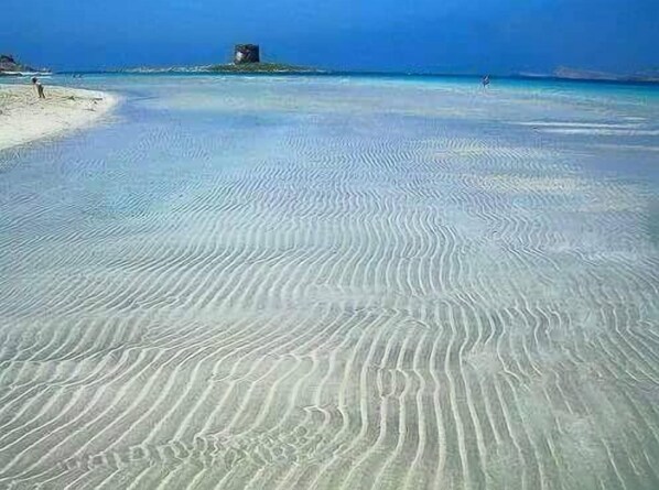 بالقرب من الشاطئ