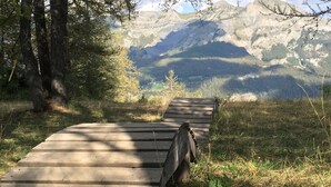 En träpromenad som leder genom ett skogsområde med berg i bakgrunden.