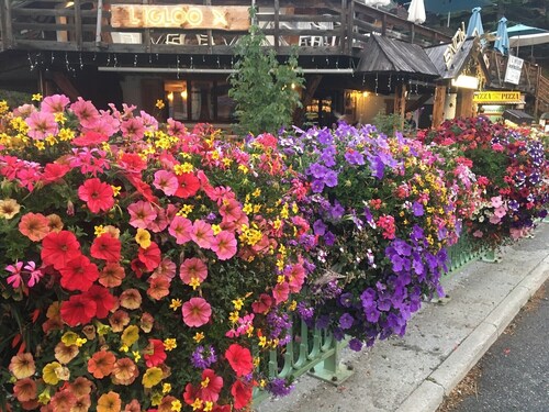 Cosy mais spacieux duplex - fantastique en hiver, magnifique en été