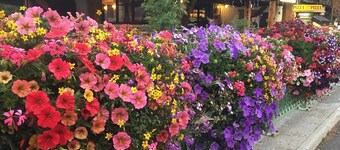 Duplex apartment, sleeps 4/5 -- fabulous in ski season, glorious in summer!