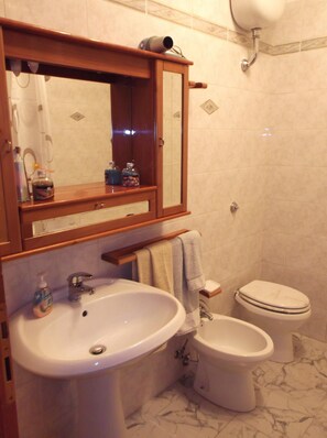 Ensemble douche/baignoire, sèche-cheveux, bidet, serviettes fournies