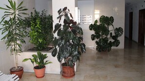 Un pasillo con plantas en macetas, un banco blanco y suelo de baldosas.
