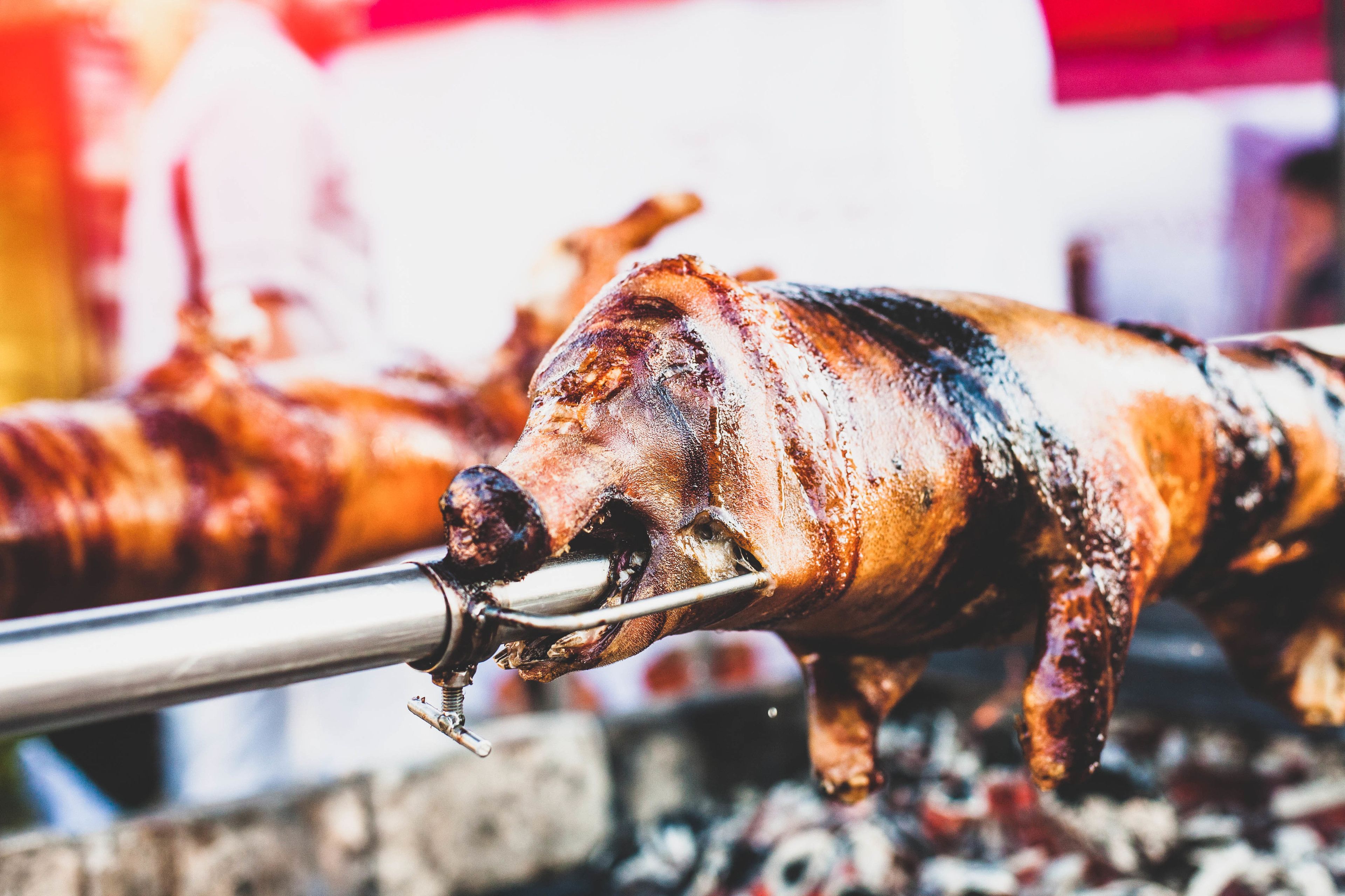 A close-up of a roasted pig on a spit, with a metal hook for turning.