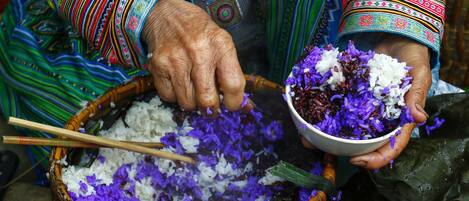 Una persona sosteniendo un tazón de arroz morado con granos blancos.