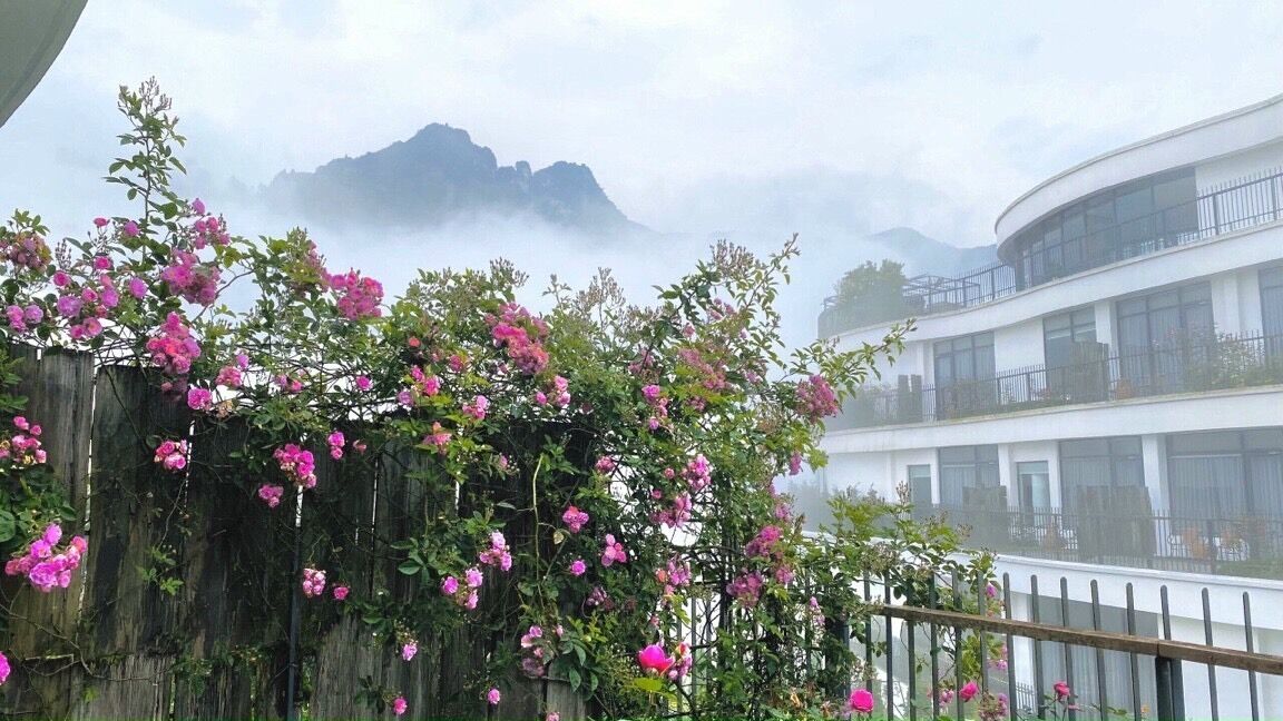 classic double or twin room | garden view