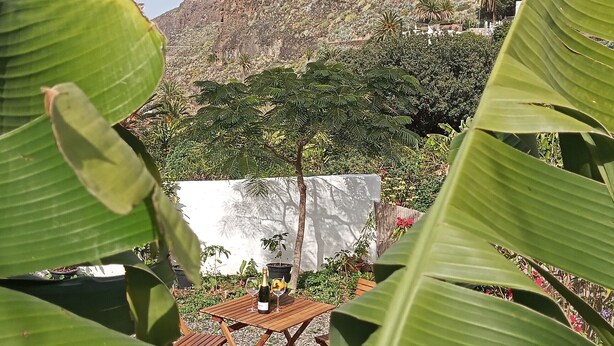Une terrasse avec une table dressée pour deux personnes, entourée d  ’une végétation luxuriante et adossée à un mur blanc.