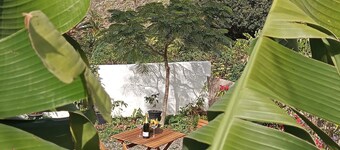 House in the Agaete Valley