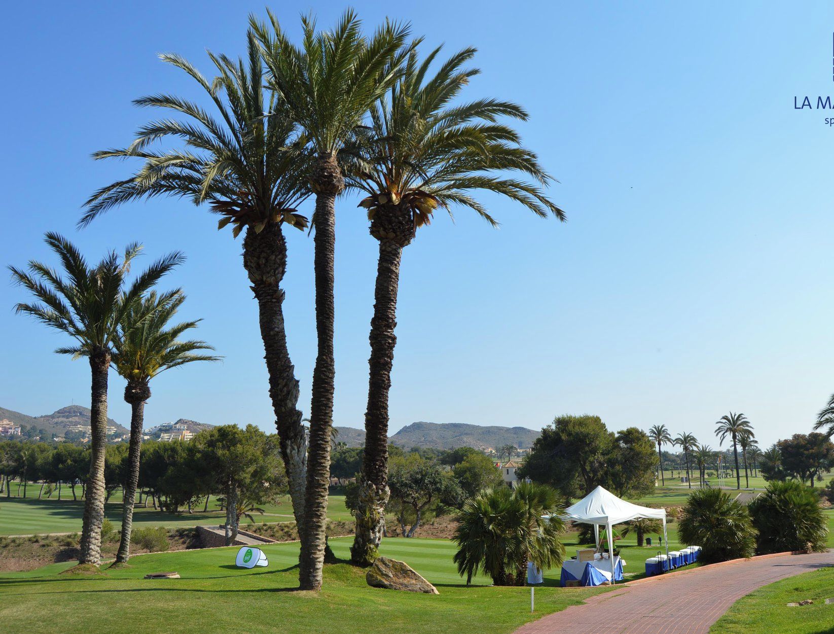A golf course with palm trees, a tent, and a clear sky.