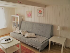 Televisión, reproductor de DVD, libros y biblioteca musical