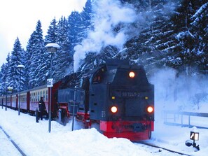 Exterior - The Harz Mountains - relaxation, nature or activity - Swiss stone pine strengthens your well-being  (Ballenstedt)