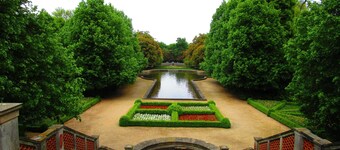 The Harz Mountains - relaxation, nature or activity - Swiss stone pine strengthens your well-being 