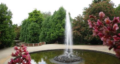 The Harz Mountains - relaxation, nature or activity - Swiss stone pine strengthens your well-being