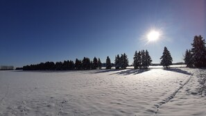 Sun-loungers - The Harz Mountains - relaxation, nature or activity - Swiss stone pine strengthens your well-being  (Ballenstedt)