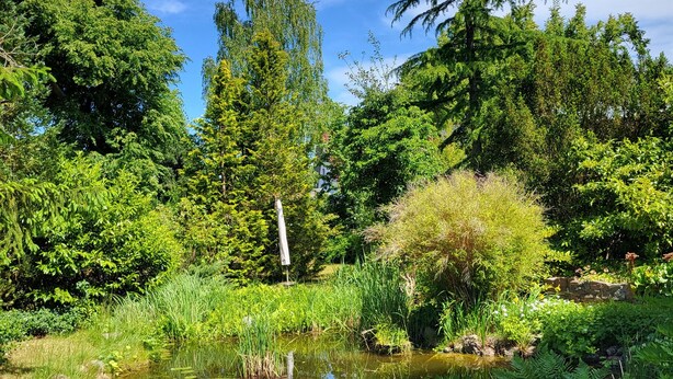 A serene garden with a pond, lush greenery, and a traditional lantern. - Vacation apartment "Kormoran" (Kargow)