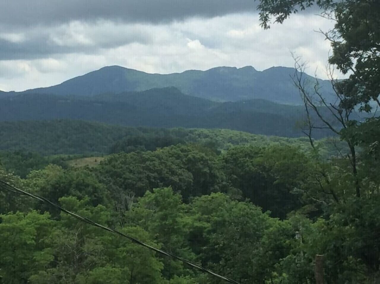 A mountainous landscape with dense forest.