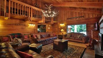 Smart TV, fireplace, DVD player, books