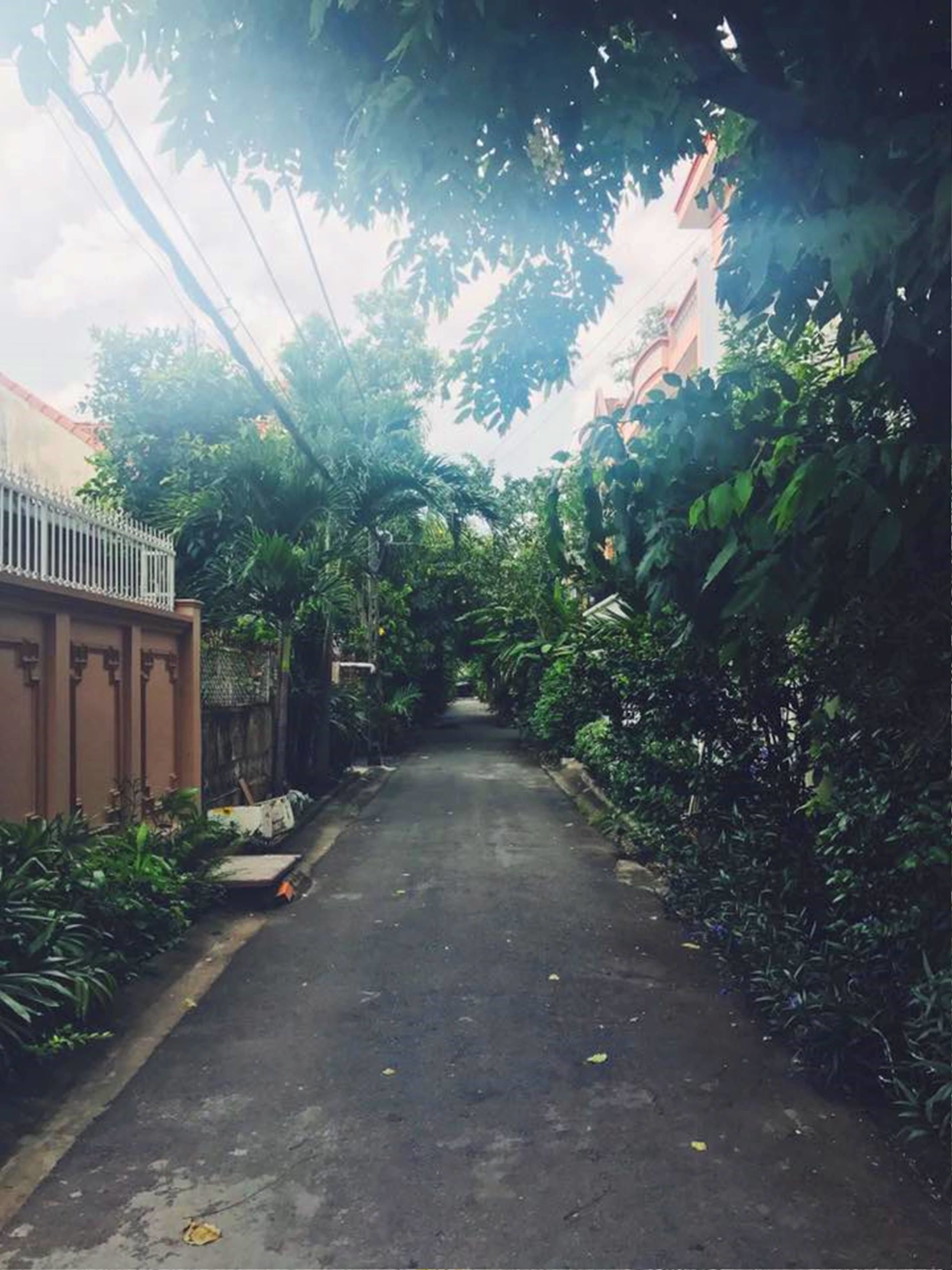 Une rue étroite bordée d’arbres, avec un immeuble sur le côté gauche.