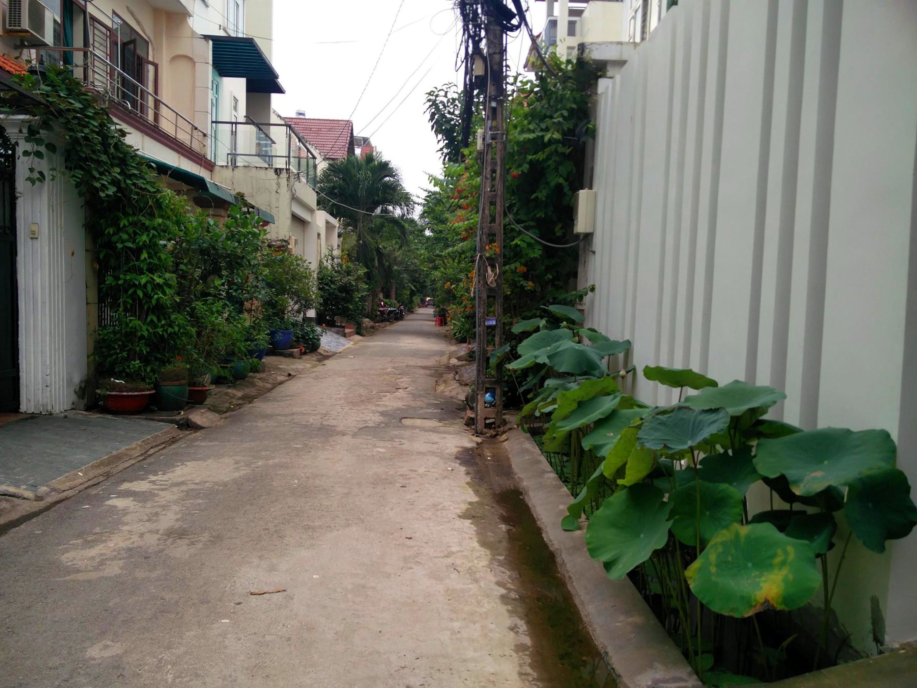 A narrow residential street lined with houses, potted plants, and a utility pole.