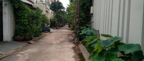 A narrow residential street lined with houses, potted plants, and a utility pole.