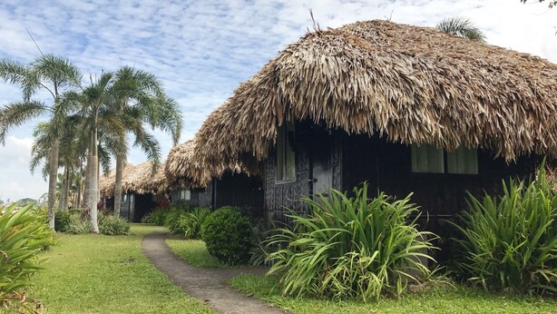 A thatched-roof house with a pathway leading to it, surrounded by lush greenery and palm trees. - Villa Del Rey Resort CamSur powered by Cocotel (Pili)