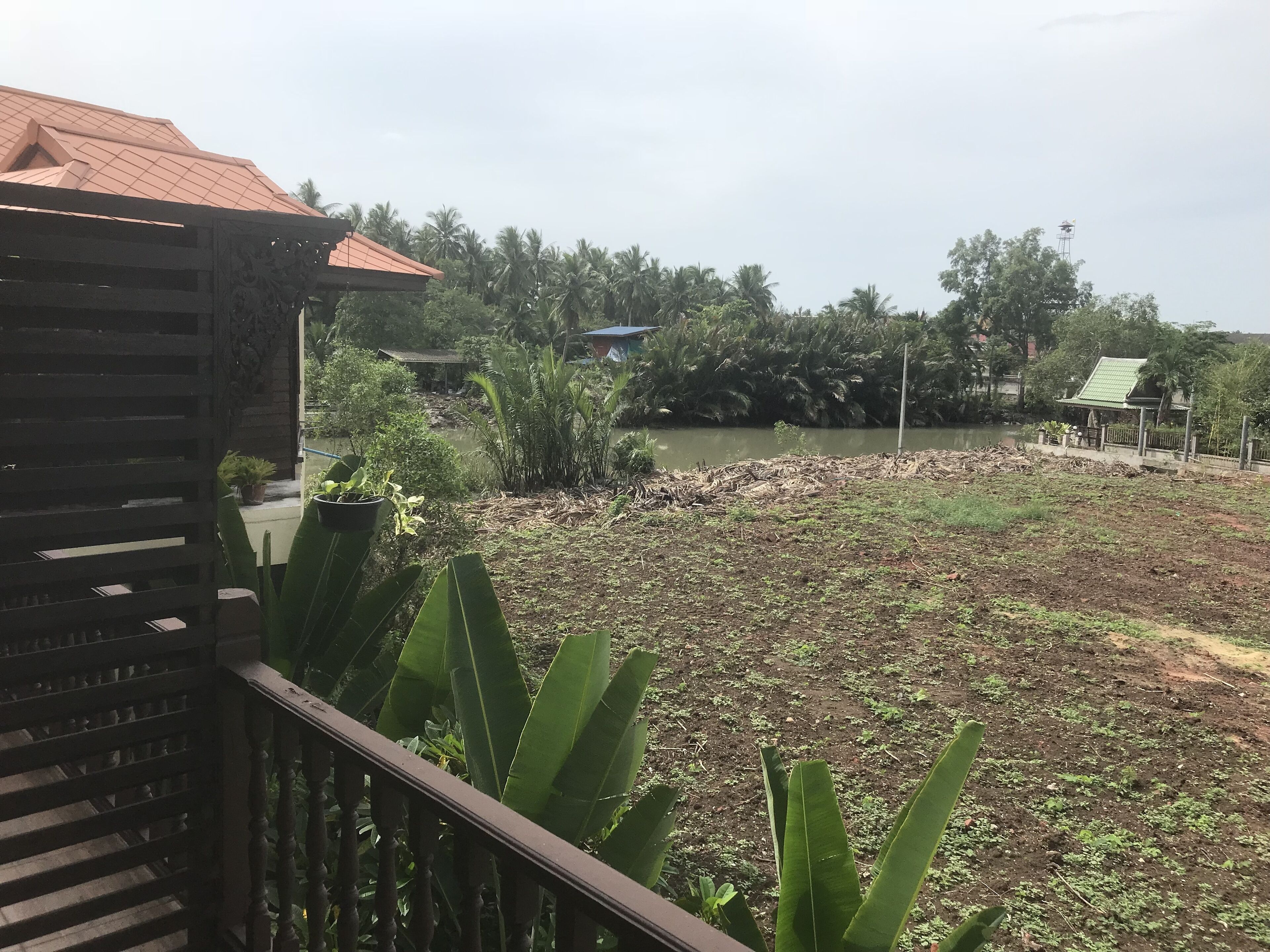 A view from a balcony overlooking a garden with a pond, surrounded by various plants and a fence.