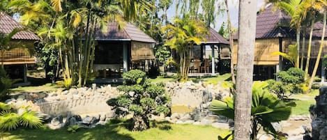 Se sirven comidas, cenas y cocina vietnamita