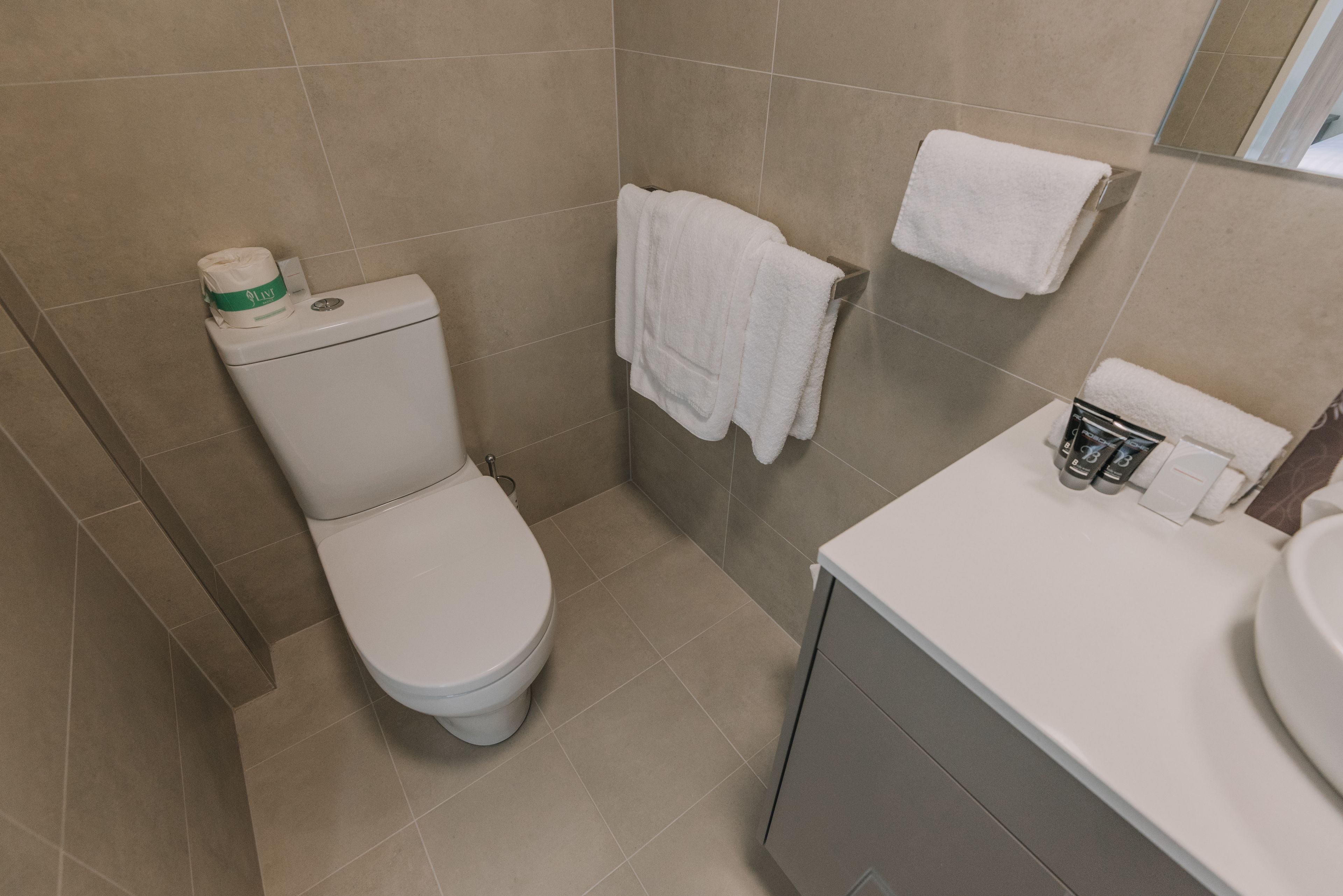 Chuveiro, secador de cabelo, toalhas de banho 