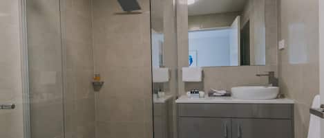 Shower, hair dryer, towels