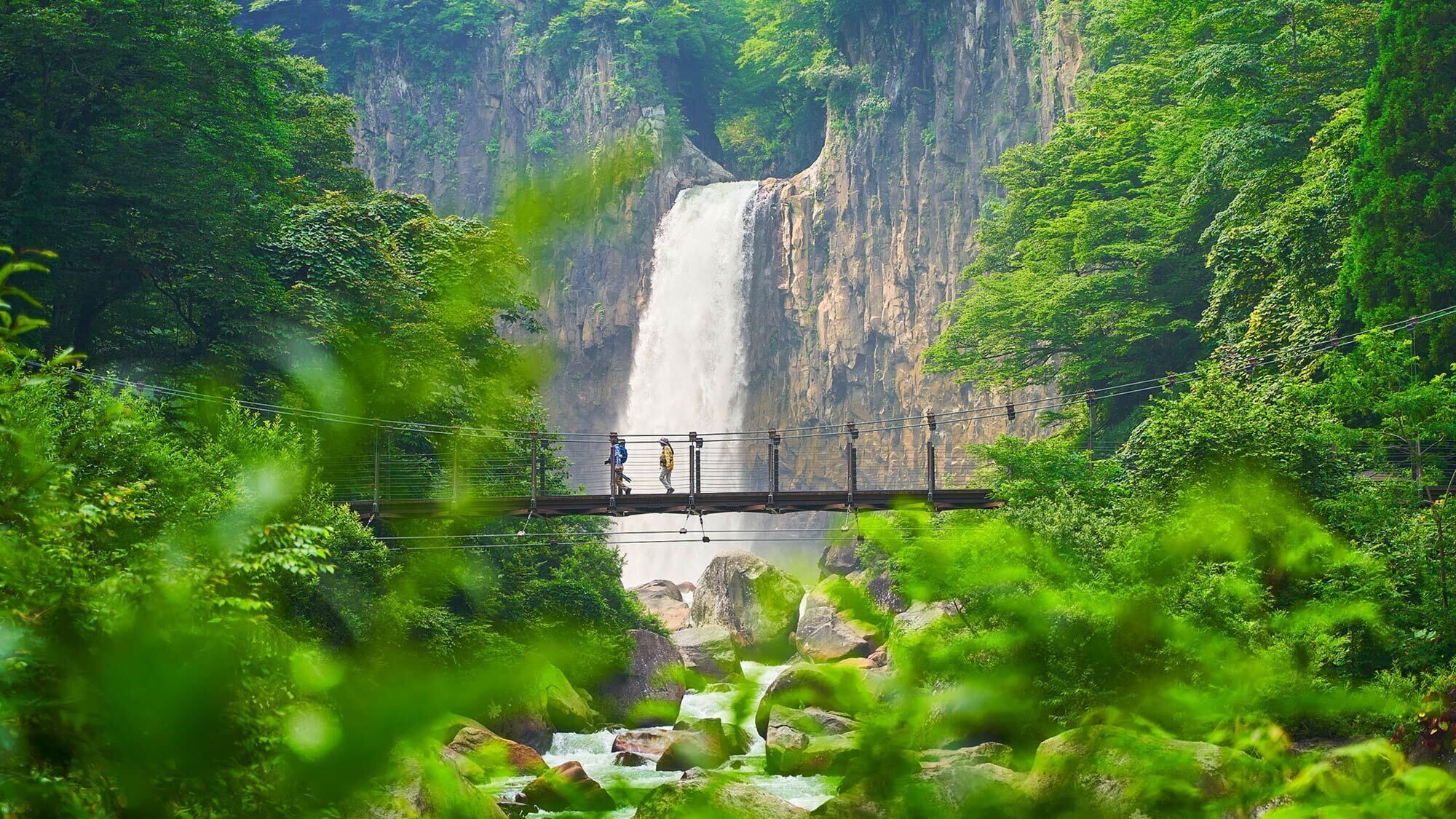 Un puente colgante sobre una cascada, rodeado de vegetación exuberante.