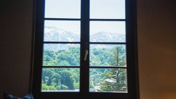 ARAI Bldg. Superior Twin / Mountain view (2 beds) | Mountain view