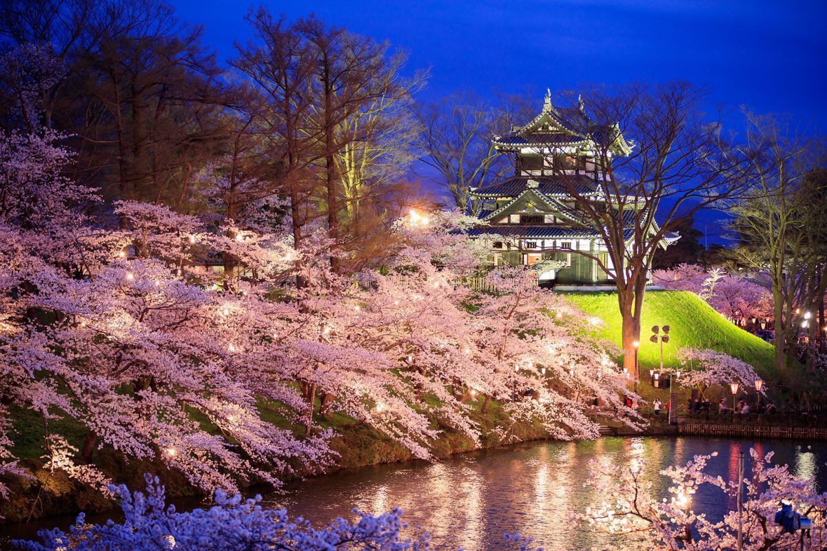 A traditional Japanese castle with a multi-tiered roof, surrounded by a moat and cherry blossom trees.