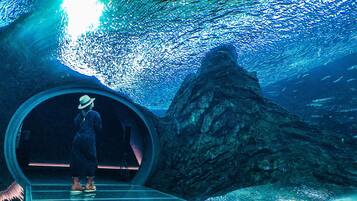 A person standing inside a tunnel with a rocky wall on one side.