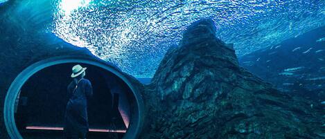 Eine Person steht in einem Tunnel, an dessen Wand Felsen sichtbar sind.