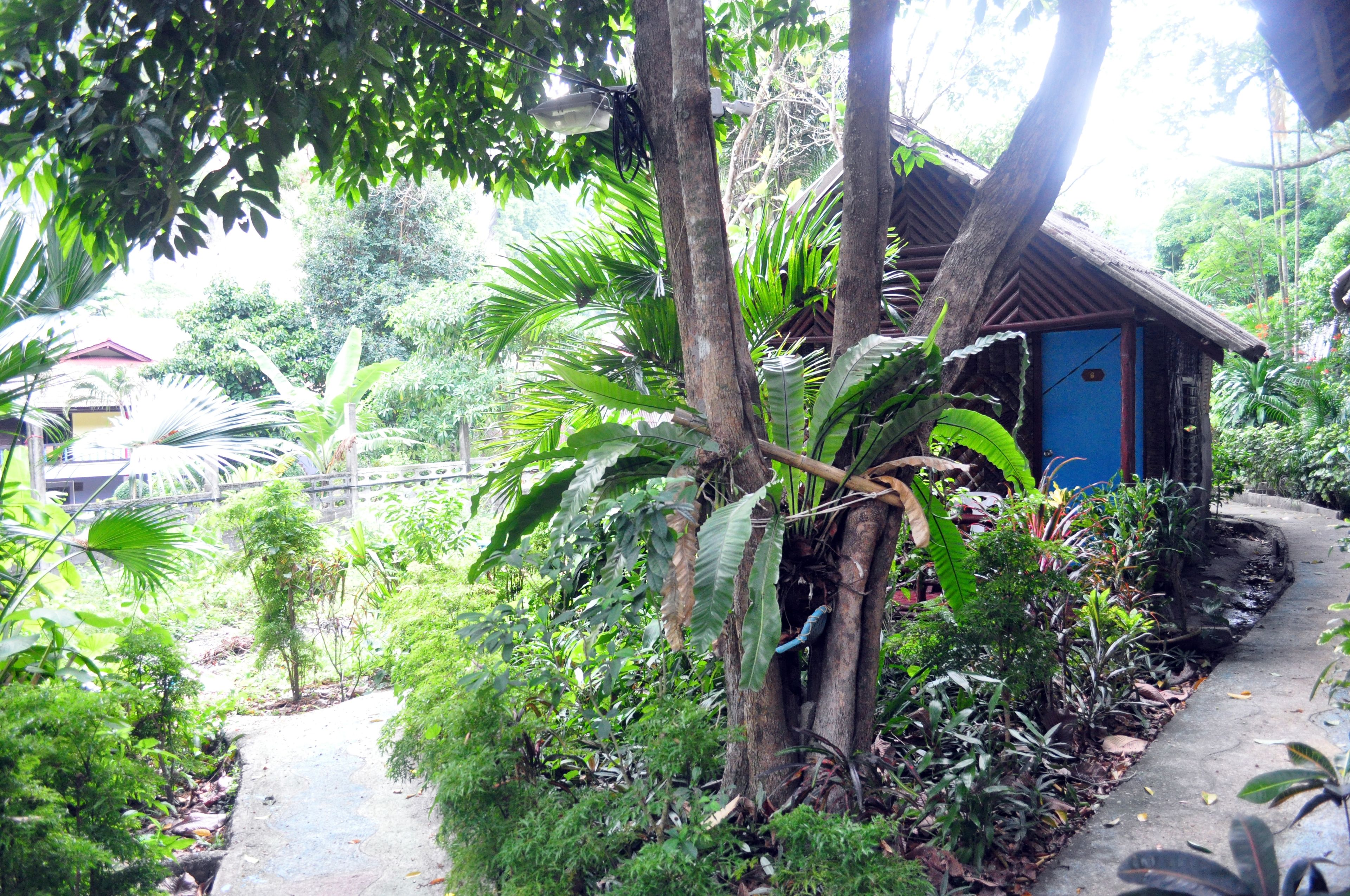 Foto - Rapala Rock Wood Resort- SHA Plus