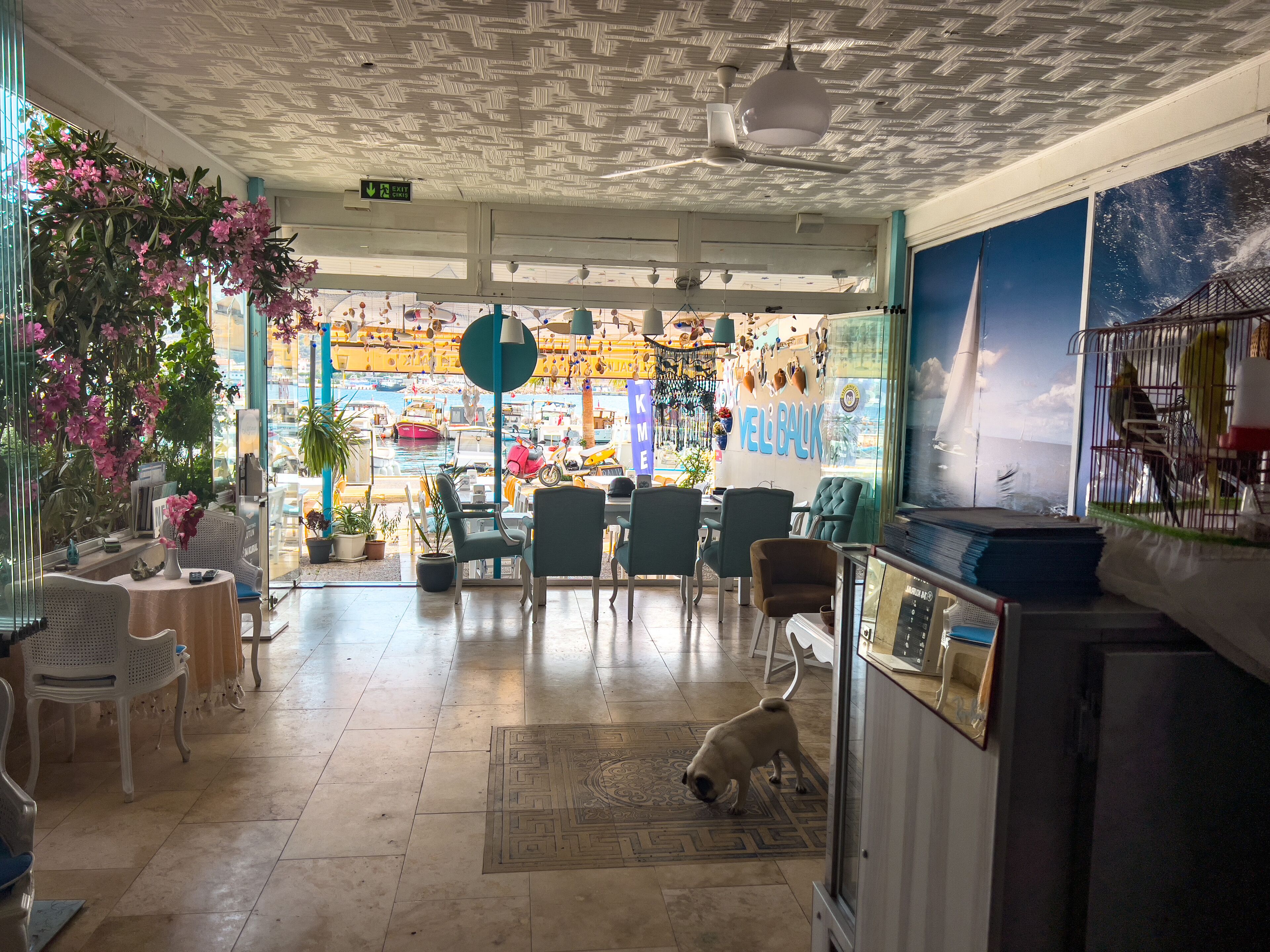 flat-screen tv, printers